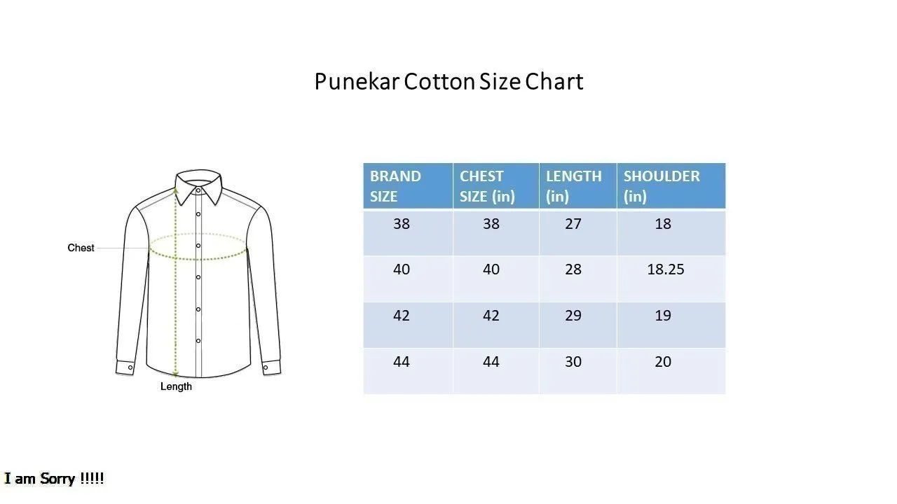 Punekar Cotton Blue Color Rich Cotton Formal Shirt For Men's