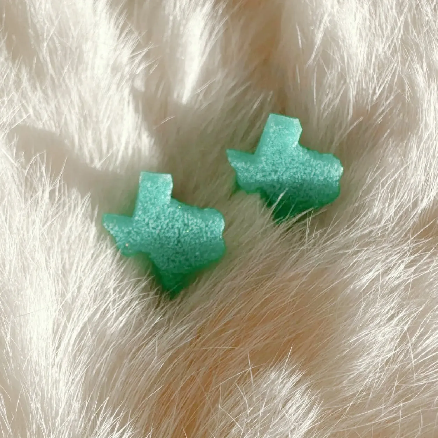 Turquoise Texas Earrings