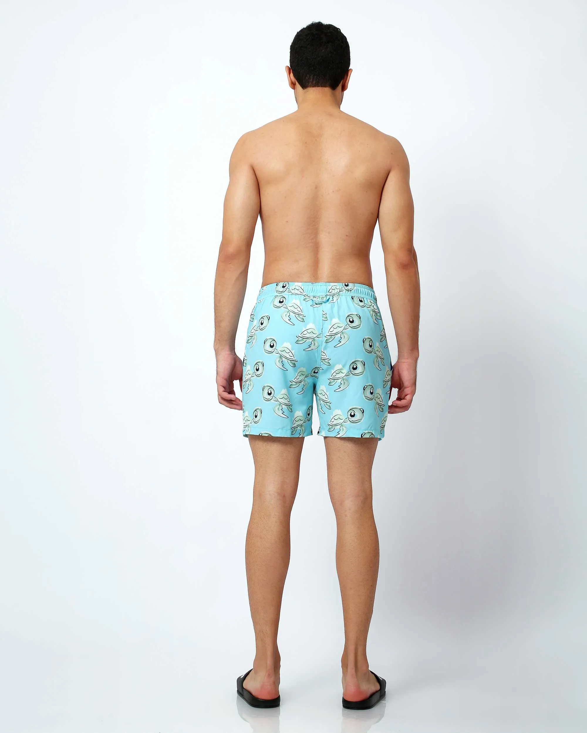 Turtles - Men's Swim Shorts